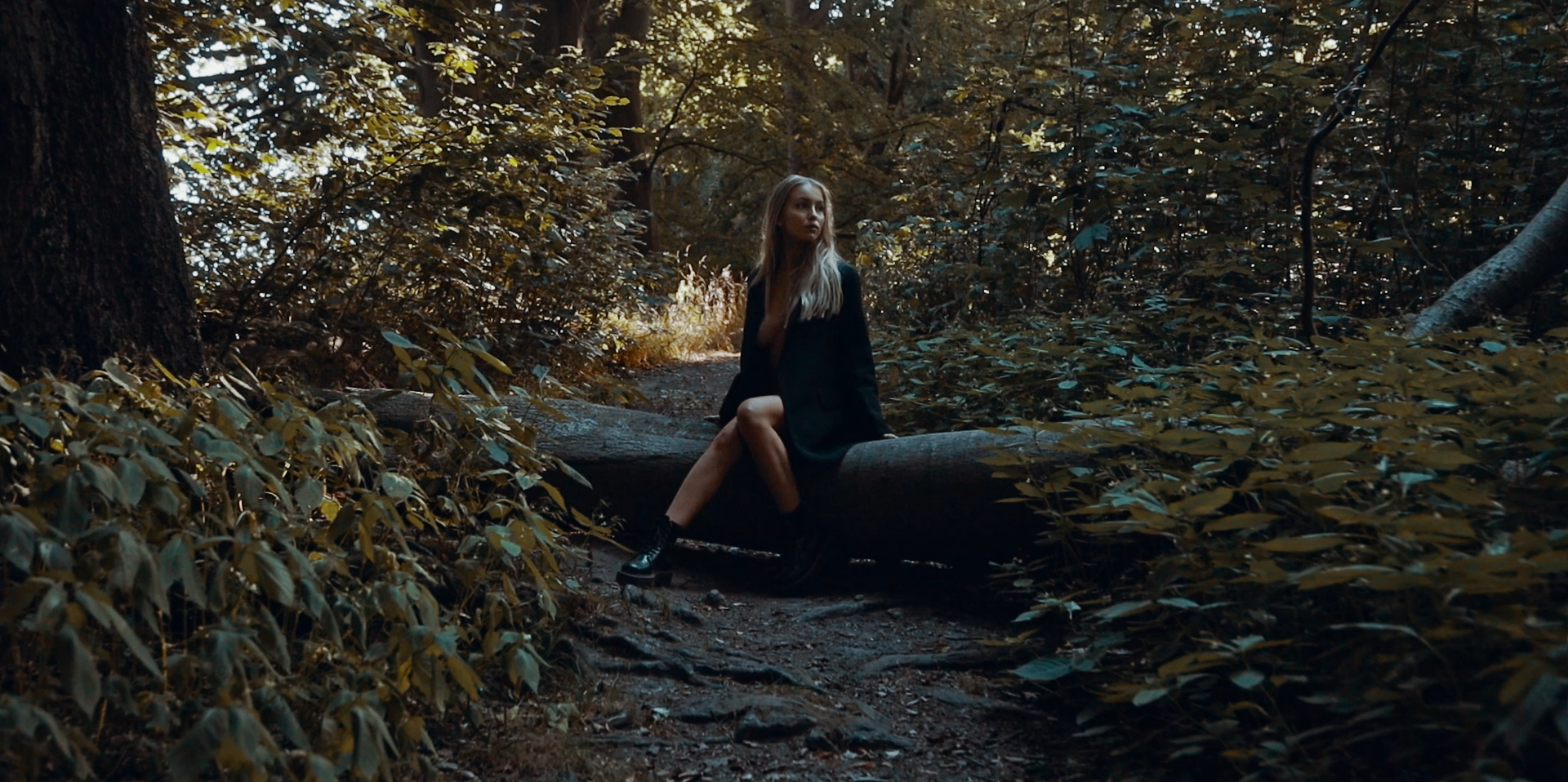 Forest Walk - Trina